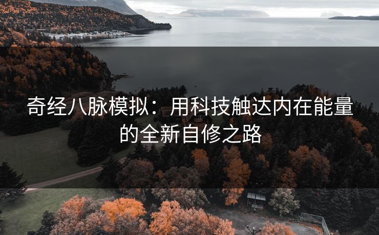 奇经八脉模拟：用科技触达内在能量的全新自修之路