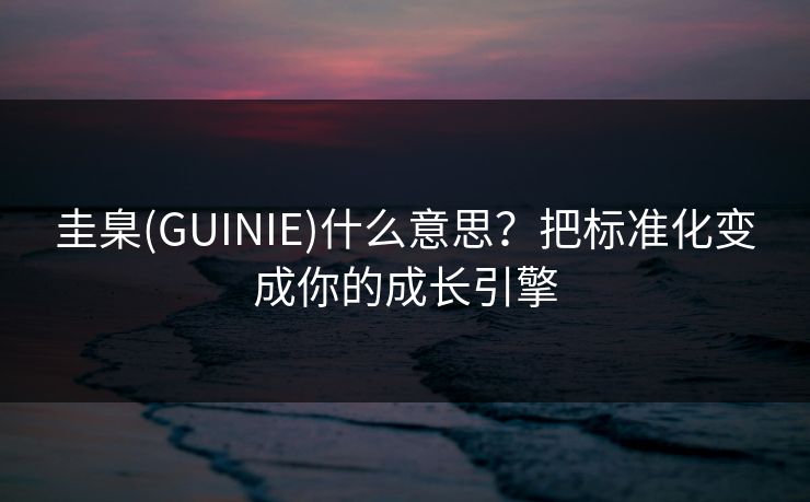 圭臬(GUINIE)什么意思？把标准化变成你的成长引擎
