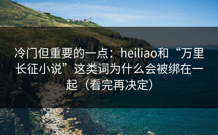 冷门但重要的一点：heiliao和“万里长征小说”这类词为什么会被绑在一起（看完再决定）